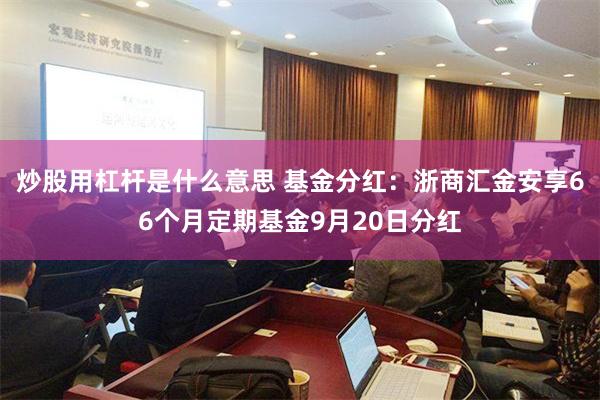 炒股用杠杆是什么意思 基金分红：浙商汇金安享66个月定期基金9月20日分红