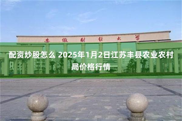 配资炒股怎么 2025年1月2日江苏丰县农业农村局价格行情