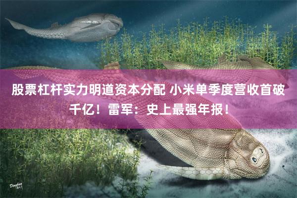 股票杠杆实力明道资本分配 小米单季度营收首破千亿！雷军：史上最强年报！