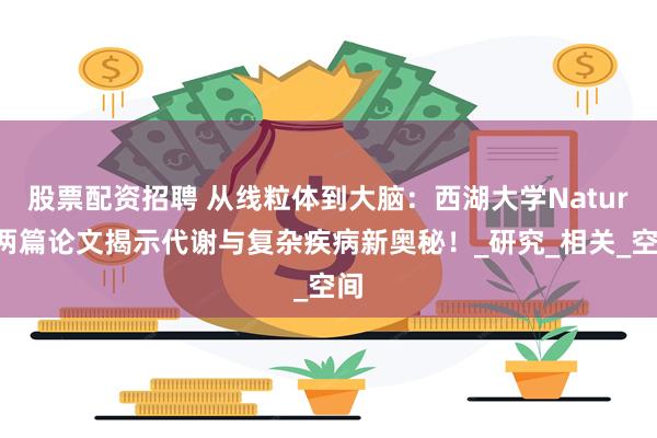 股票配资招聘 从线粒体到大脑：西湖大学Nature两篇论文揭示代谢与复杂疾病新奥秘！_研究_相关_空间