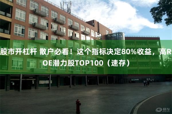 股市开杠杆 散户必看！这个指标决定80%收益，高ROE潜力股TOP100（速存）