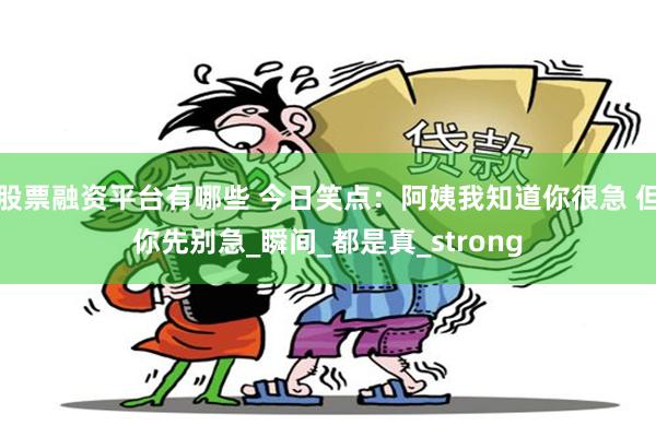 股票融资平台有哪些 今日笑点：阿姨我知道你很急 但你先别急_瞬间_都是真_strong