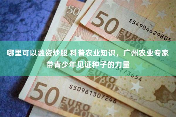 哪里可以融资炒股 科普农业知识，广州农业专家带青少年见证种子的力量