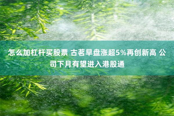 怎么加杠杆买股票 古茗早盘涨超5%再创新高 公司下月有望进入港股通