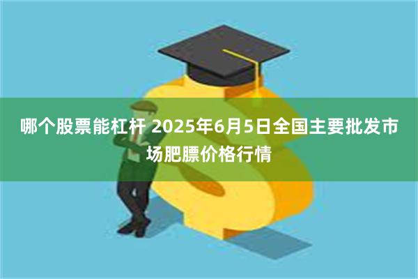 哪个股票能杠杆 2025年6月5日全国主要批发市场肥膘价格行情
