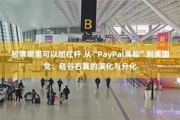 股票哪里可以加杠杆 从“PayPal黑帮”到美国党：硅谷右翼的演化与分化