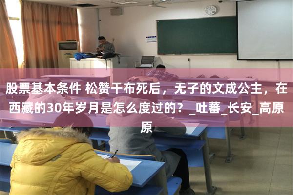 股票基本条件 松赞干布死后，无子的文成公主，在西藏的30年岁月是怎么度过的？_吐蕃_长安_高原