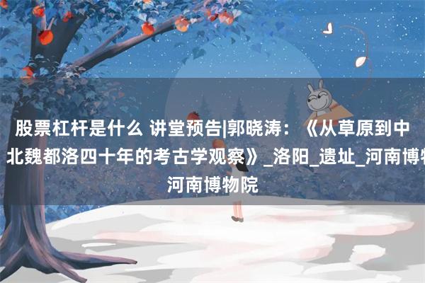 股票杠杆是什么 讲堂预告|郭晓涛：《从草原到中原：北魏都洛四十年的考古学观察》_洛阳_遗址_河南博物院
