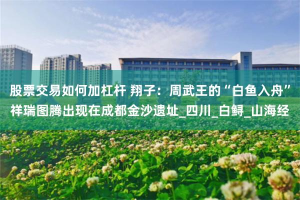 股票交易如何加杠杆 翔子：周武王的“白鱼入舟”祥瑞图腾出现在成都金沙遗址_四川_白鲟_山海经