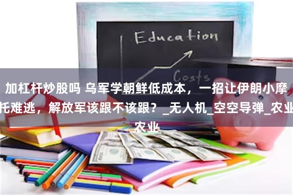 加杠杆炒股吗 乌军学朝鲜低成本，一招让伊朗小摩托难逃，解放军该跟不该跟？_无人机_空空导弹_农业