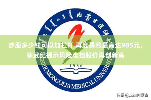 炒股多少钱可以加杠杆 再度暴涨最高达985元，寒武纪提示风险难挡股价再创新高