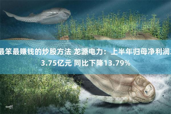 最笨最赚钱的炒股方法 龙源电力：上半年归母净利润33.75亿元 同比下降13.79%