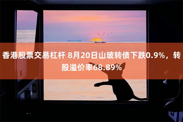 香港股票交易杠杆 8月20日山玻转债下跌0.9%，转股溢价率68.89%