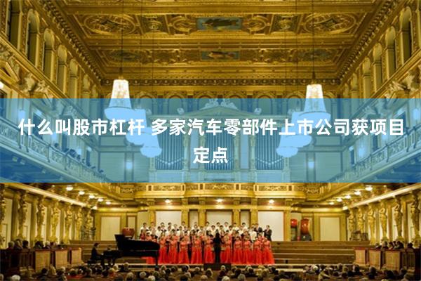 什么叫股市杠杆 多家汽车零部件上市公司获项目定点